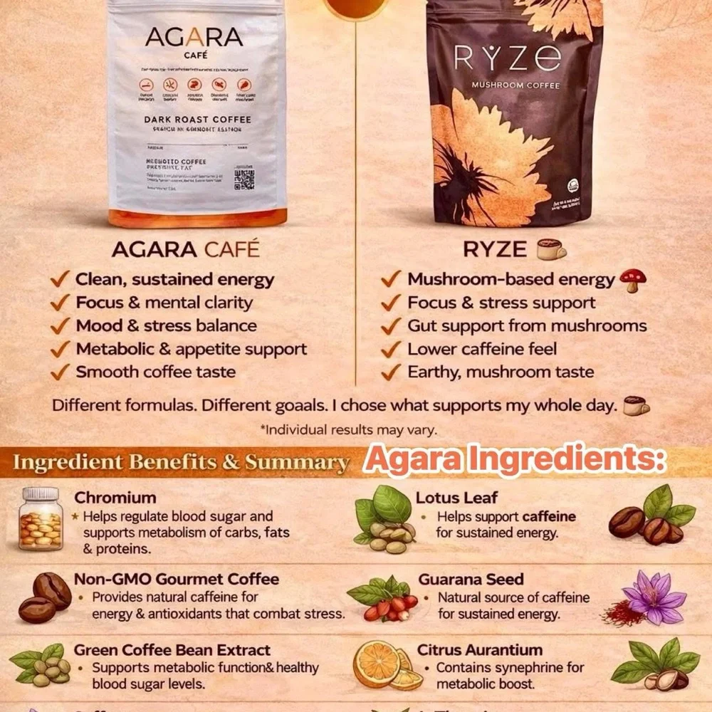 AGARA Cafe Dark Roast Coffee - White & Orange Premium Arabica